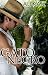 Gato Negro