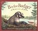 B is for Badger: A Wisconsin Alphabet (Discover America State By State. Alphabet Series)