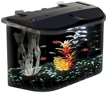 API Panaview Aquarium Kit with LED Lighting and Power Filter, 5-Gallon

