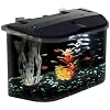 Deals List: Aquarius Aq15005 Aquarius 5 Rounded 5-Gallon Aquarium Kit 