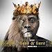Lions & Liars