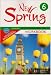 Anglais 6e New Spring : Workbook