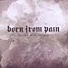 Born From Pain-In Love With the End