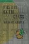 Pigeons on the Grass (Portico Paperbacks Series)