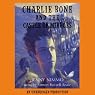 Charlie Bone and the Castle of Mirrors: Children of the Red King, Book 4