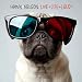 Live Life Loud