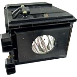 Samsung HL-R6167WAX HLR6167WAX Lamp with Housing BP96-00826A