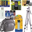 Canon Powershot SX110IS Perfect Addition Accessory Bundle