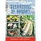 Mycology:  of Fungi and Mushrooms