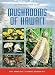 Mushrooms of Hawai'i: An Identification Guide