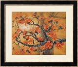 Kapok Framed Art Poster Print by Chenwen Chang, 29x25