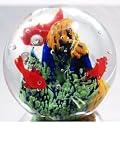 Murano Design Glass Art Fish Series Paperweight PW-353