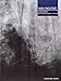Max Richter Piano Works