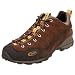 Oboz Men's Teton Suede Mountain Sport Shoe