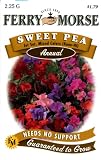 Ferry-Morse Annual Flower Seeds 1159 Sweet Peas - Jet Set Mixed Color 2.25 Gram Packet