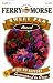 Ferry-Morse Annual Flower Seeds 1159 Sweet Peas - Jet Set Mixed Color 2.25 Gram Packet