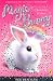 Magic Bunny