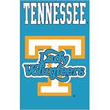 Tennessee Volunteers NCAA Applique Banner Flag (44x28) Lady Vols