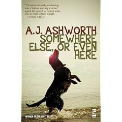 Somewhere Else, or Even Here (Salt Modern Fiction)