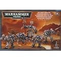 Grey Knights Terminatoren