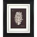 Coral on Branch B Wall Art - 16x20"