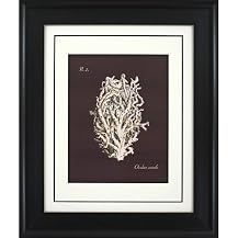 Coral on Branch B Wall Art - 16x20"