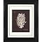 Coral on Branch B Wall Art - 16x20"