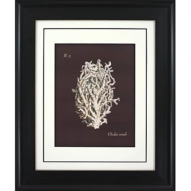 Product Image Coral on Branch B Wall Art - 16x20"