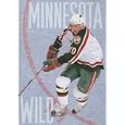 Minnesota Wild (The NHL: History and Heros) by Lisa M. Bolt