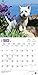 West Highland White Terriers 2016 Calendar
