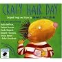 Crazy Hair Day