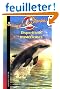 Jessica et les dauphins, Tome 9 : Disparitions mystérieuses