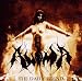 Anima-The Daily Grind