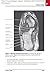 Netter's Concise Radiologic Anatomy: With STUDENT CONSULT Online Access, 2e (Netter Basic Science)