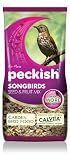 Peckish 2Kg Songbird Seed and Fruit Mix