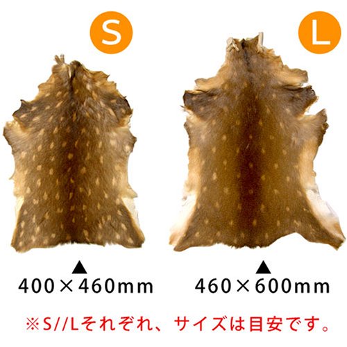 Cover image : Deer Skin Real Leather [S] 鹿皮