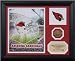 Arizona Cardinals 