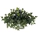 Nearly Natural Ivy W/White Wash Planter Silk Plant