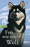 Frei wie ein Wolf - Avi Avi