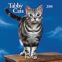 Tabby Cats 2008 Square Wall Calendar (Multilingual Edition)