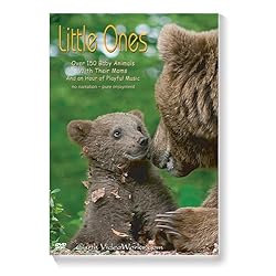 Little Ones