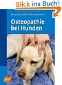Osteopathie beim Hund