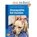 Osteopathie beim Hund