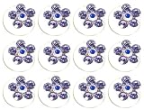 Crystal Hair Twister Set - Tanzanite