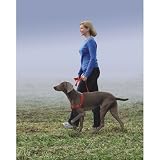 Gentle Leader Easy Walk Harness (Medium/Large) Red