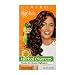 Clairol Herbal Essences Shade-On-Shade Higlights, HL3-f Caramel Swirl, Rich Copper Highlights (Pack of 3)