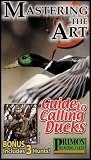 In Depth Guide to Calling Ducks (Learn to Call Mallards, Wood Ducks, Teal, Pintail and Widgeon)