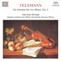 Sonates sans basse: Sonata No. 5 in B minor, TWV 40:105: Allegro