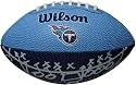 Tennessee Titans Team Logo Mini Football