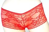 Sexy Lowrise Sheer Pattern Lace Bikini Boyshort Panty